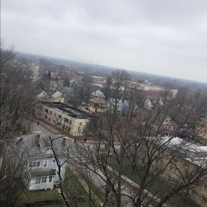 Meet your Posher, Dawson